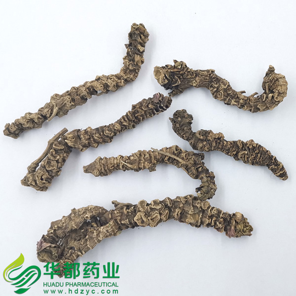 Valerian Root 