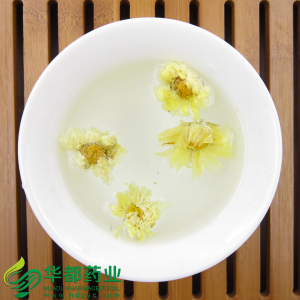 White Chrysanthemum