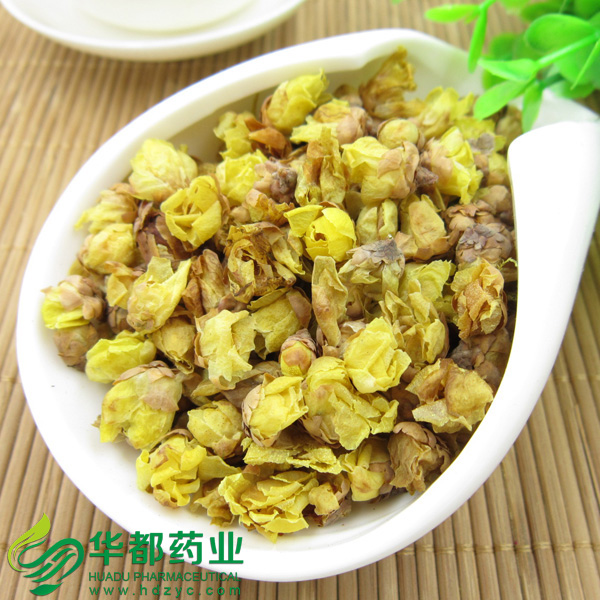 Wintersweet Flower.jpg