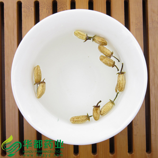 玳玳花3