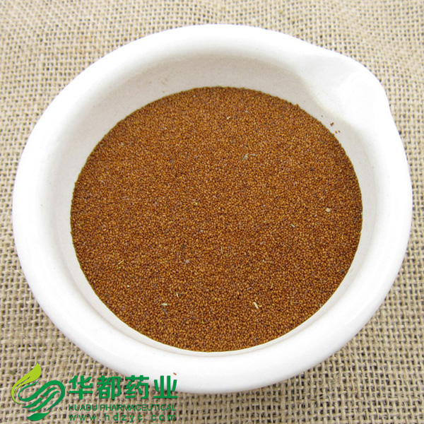 Pepperweed Seed.jpg