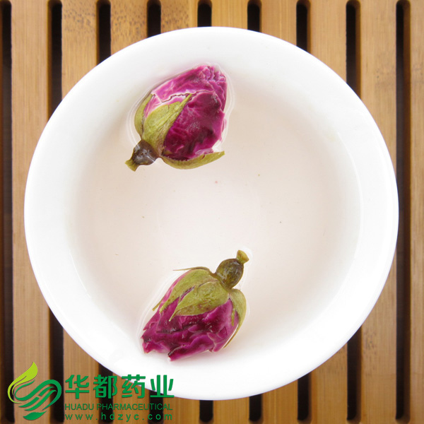 Chinese Rose 