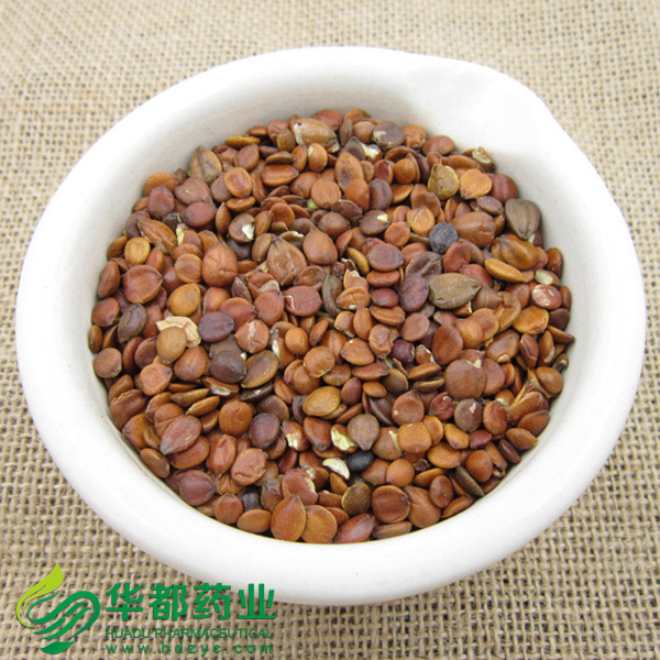 酸枣仁1.jpg