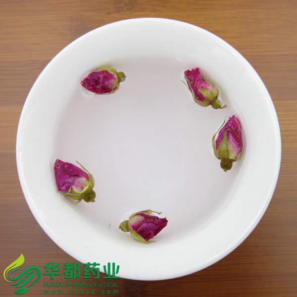 甘肃玫瑰花3