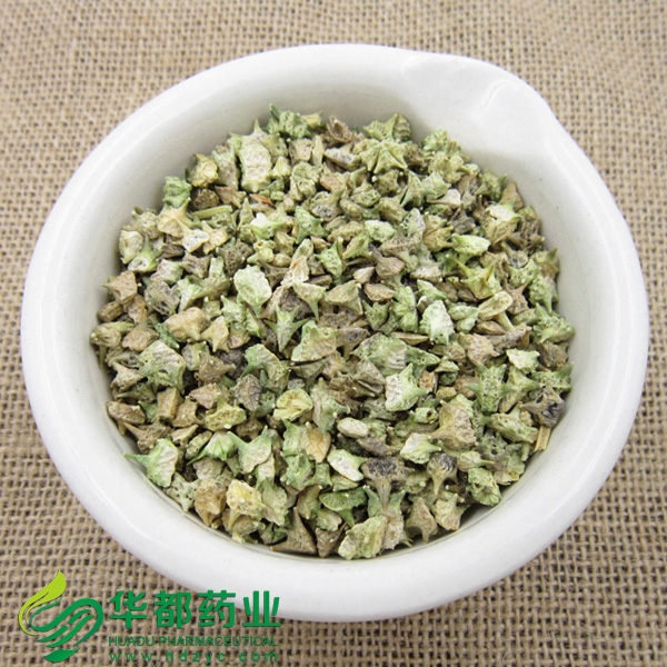 Punctur-Vine Fruit (2)