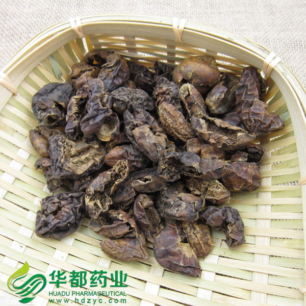柯子1