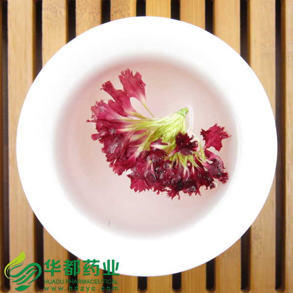 Carnation