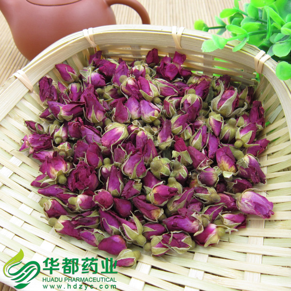 甘肃玫瑰花2