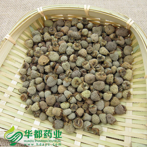 Chinese Raspberry (2)