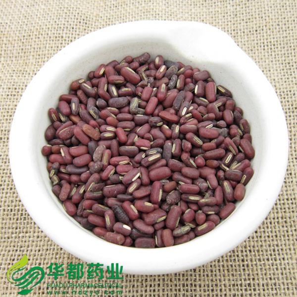 Red Bean