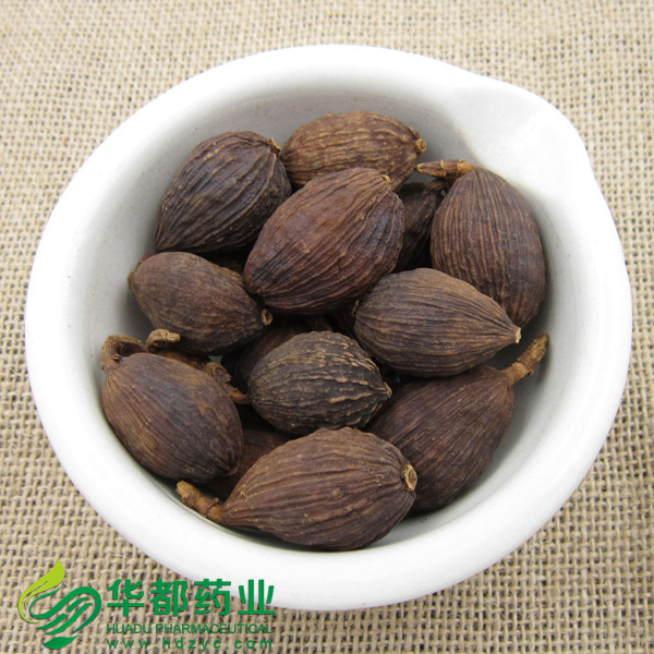 Fructus Tsaoko (2)