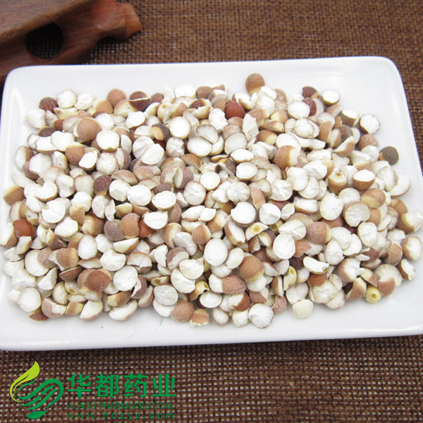 Gordon Euryale Seed (4)