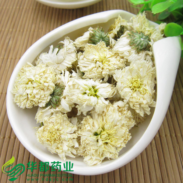 贡菊1