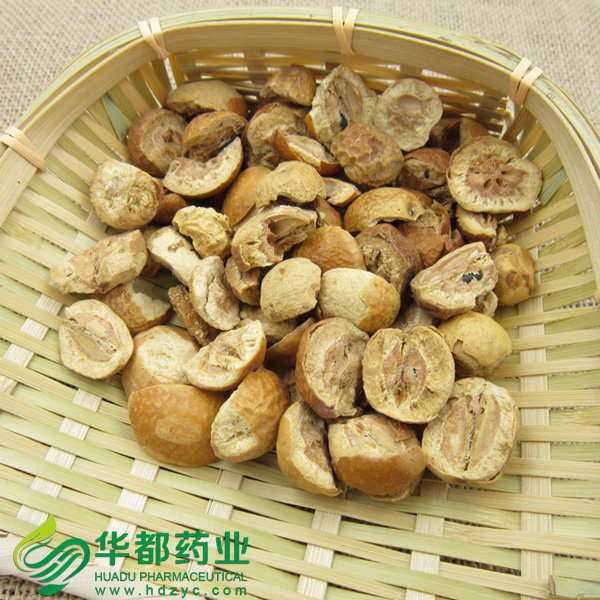 Szechwan Chinaberry Fruit.jpg