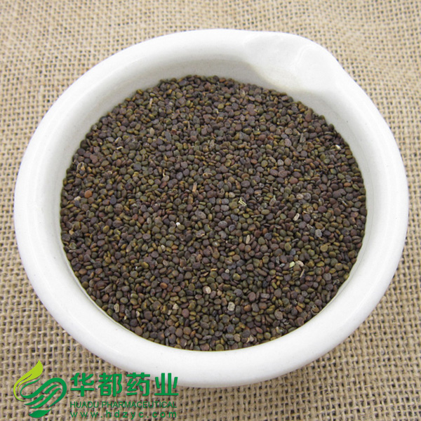 Flastem Milkvetch Seed