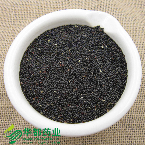 青箱子.jpg