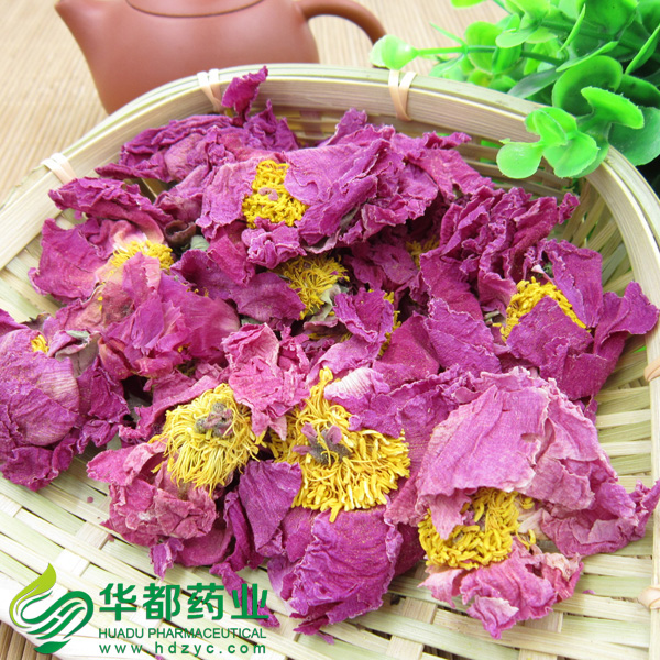 牡丹花2.jpg