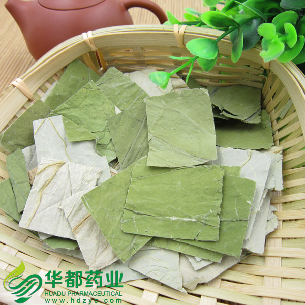 Lotus Leaf (2).jpg