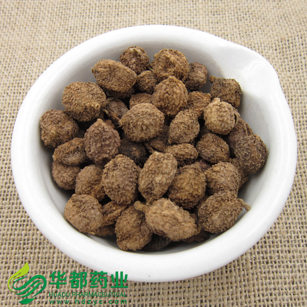 Fructus Amomi (2).jpg
