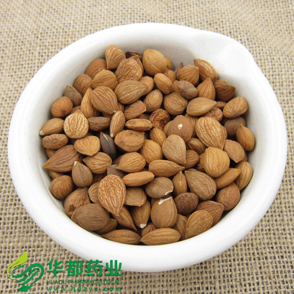 桃仁1